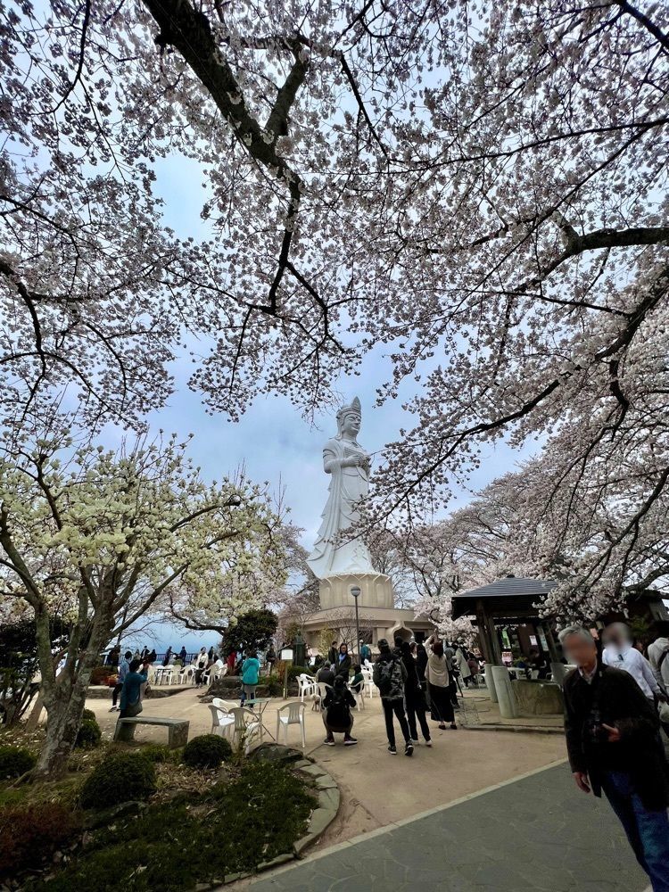 KEI❄️さんが投稿した船岡城址公園の桜に関する口コミの画像