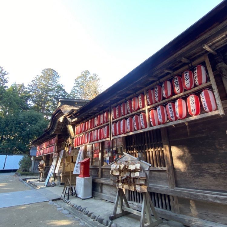 かめ_メグミさんが投稿した大崎八幡宮に関する口コミの画像