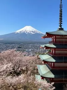 新倉山浅間公園