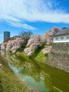霞城公園