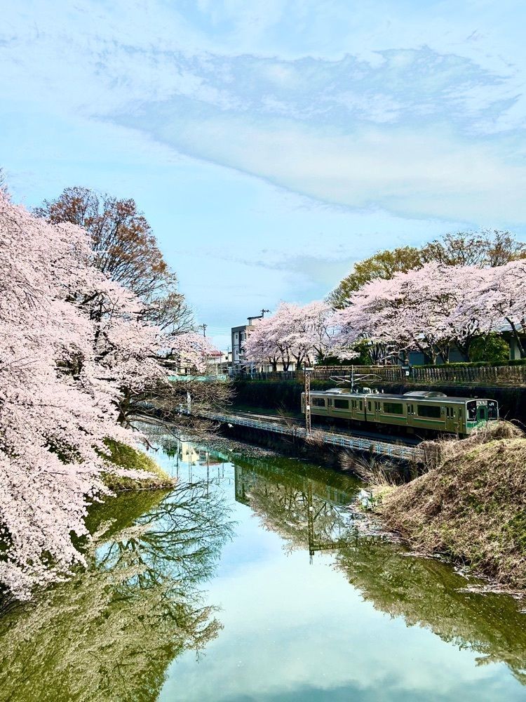 jun1216さんが投稿した霞城公園に関する口コミの画像