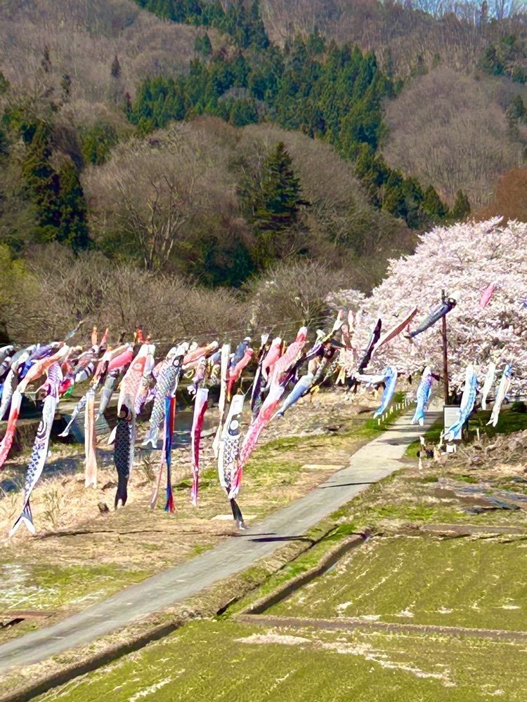 jun1216さんが投稿した農家ペンション高瀬に関する口コミの画像