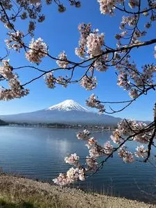 河口湖円形ホール