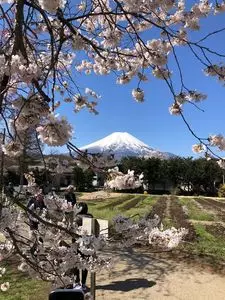忍野村