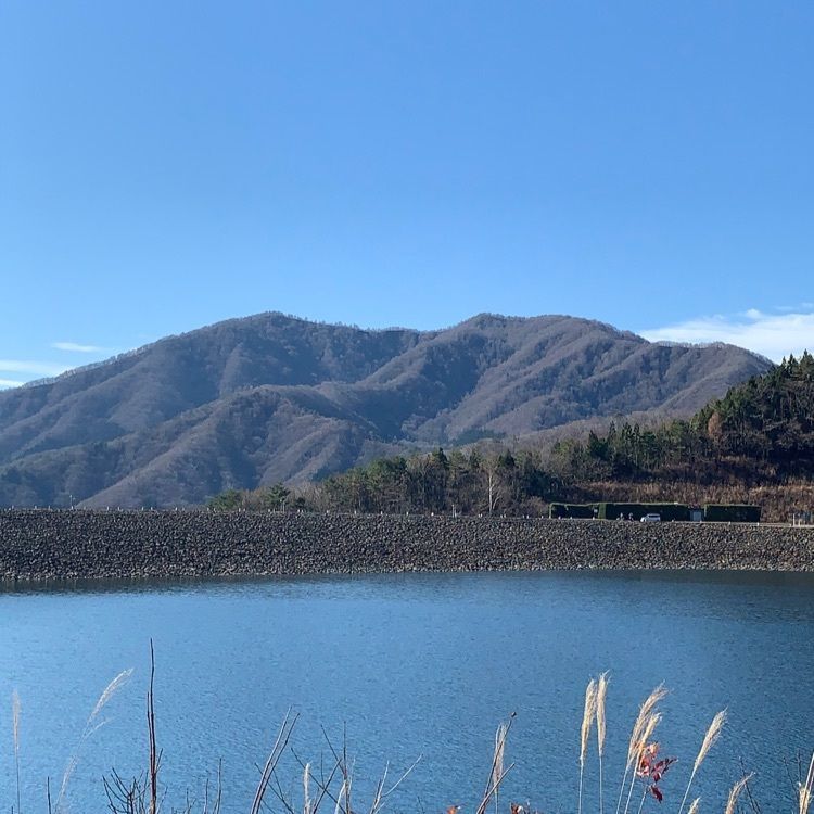 michikoの画像