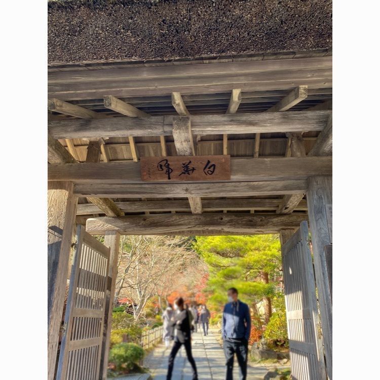 Musashiの画像