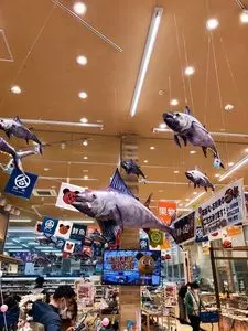 綿半 スーパーセンター 富士河口湖店