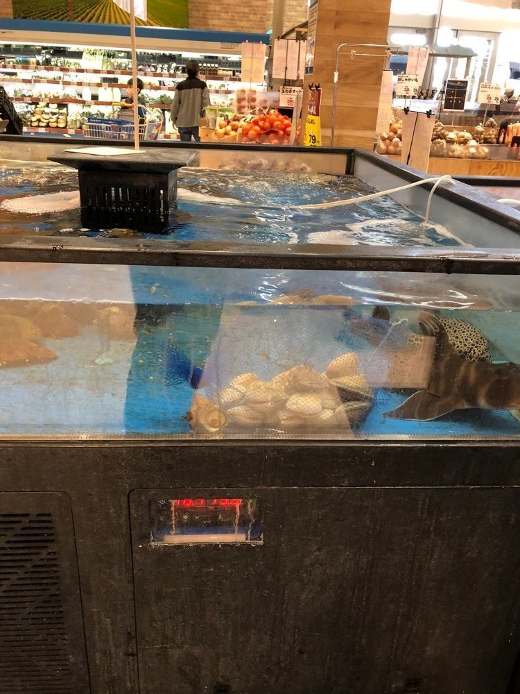 からっ風②さんが投稿した綿半 スーパーセンター 富士河口湖店に関する口コミの画像