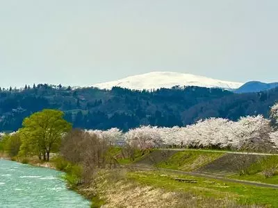 三泉観光さくらんぼ園