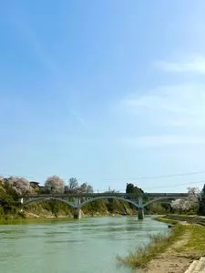 林鮮魚店