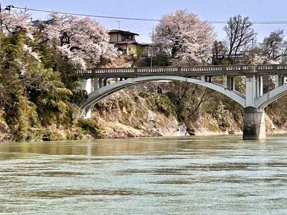 jun1216さんが投稿した林鮮魚店に関する口コミの画像