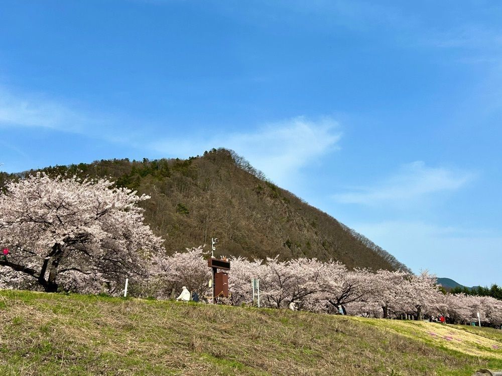 jun1216さんが投稿した山形市馬見ヶ崎プール「ジャバ」に関する口コミの画像
