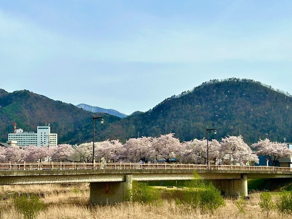 jun1216さんが投稿した山形市馬見ヶ崎プール「ジャバ」に関する口コミの画像