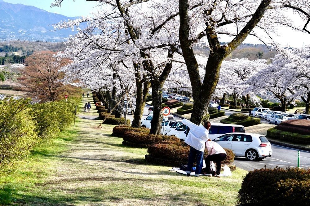 ビンカさんが投稿した富士見会館 売店に関する口コミの画像