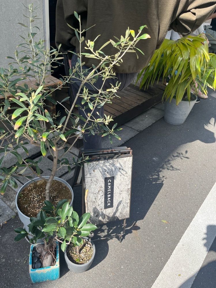 Maruさんが投稿したCamelback sandwich&espresso（キャメルバック）に関する口コミの画像