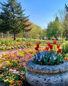 とちぎわんぱく公園