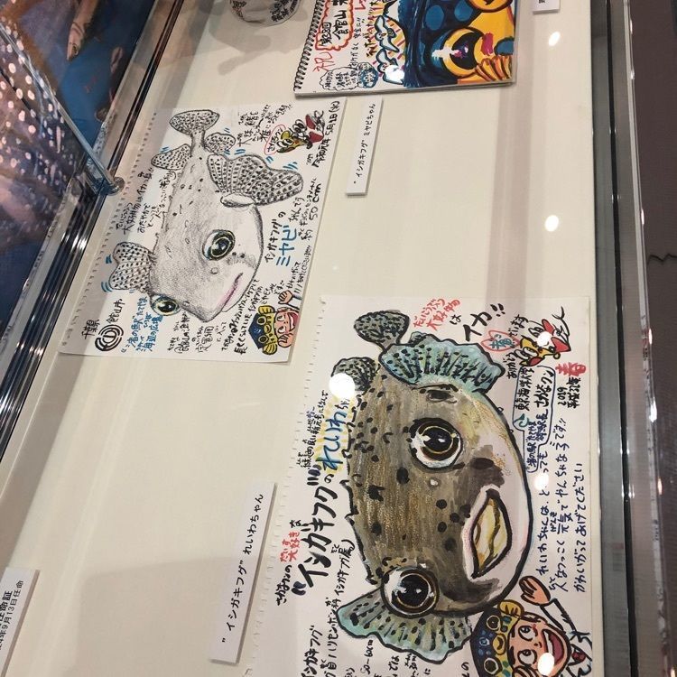 special_weekend_0fb3さんが投稿した南房総　極上の湯質（死海塩風呂）　割烹清都（きよと）に関する口コミの画像