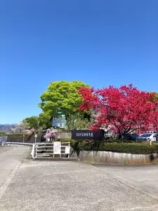 釈迦堂遺跡博物館