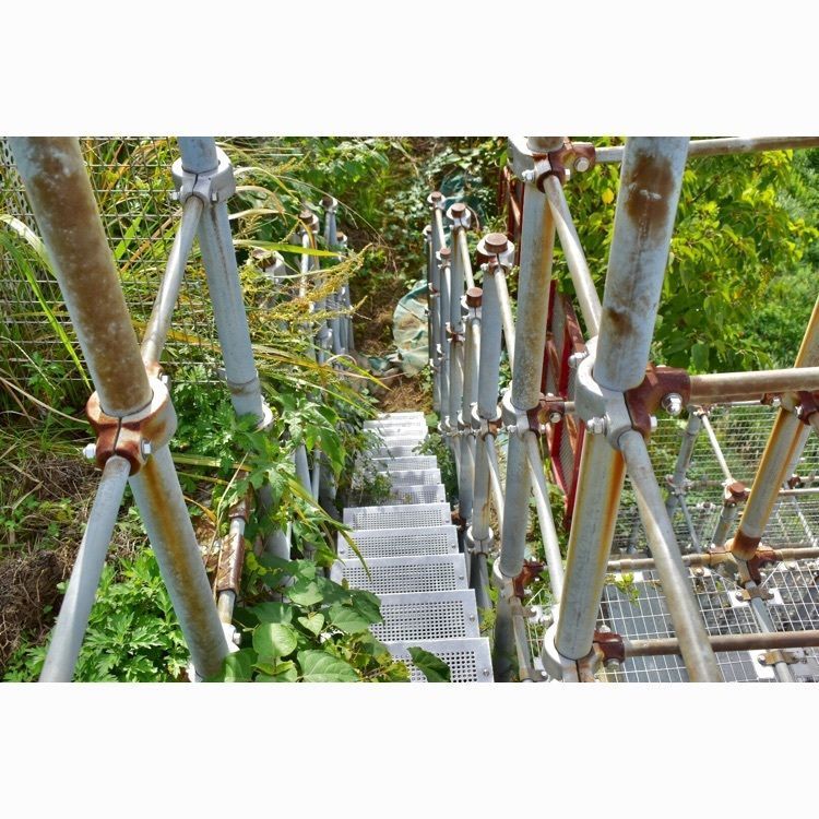 頼朝さんが投稿した架橋記念公園に関する口コミの画像