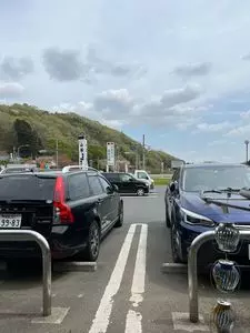山桜