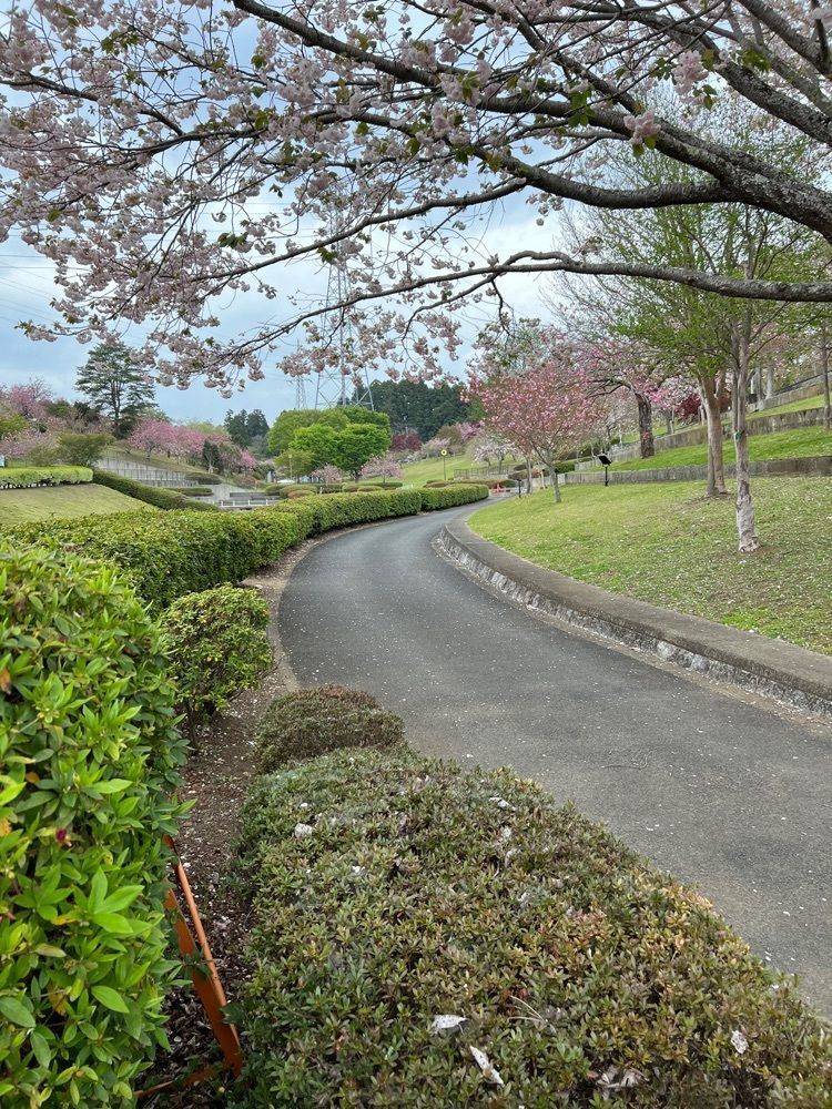 hu4378さんが投稿した静峰ふるさと公園に関する口コミの画像