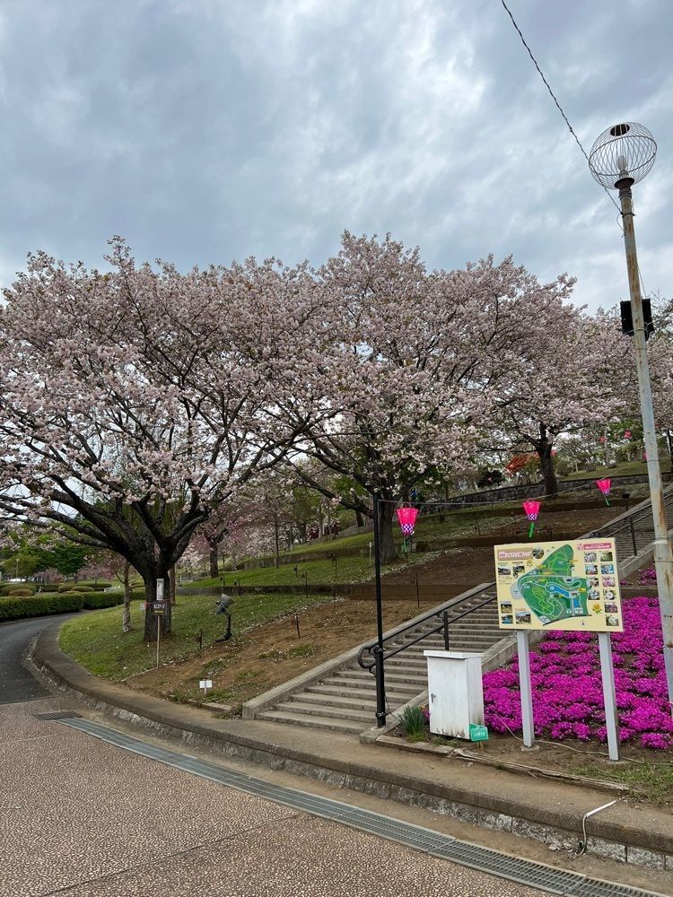 hu4378さんが投稿した静峰ふるさと公園に関する口コミの画像