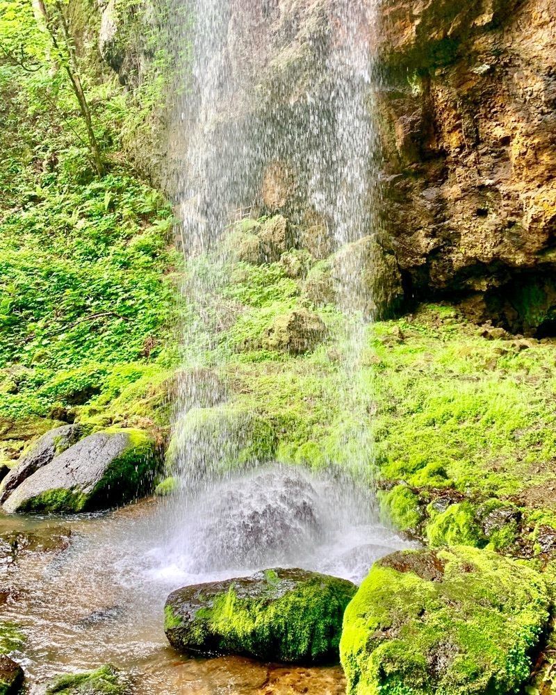 nico☺︎さんが投稿した山彦の滝に関する口コミの画像