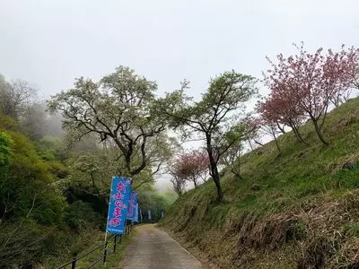 道の駅 みえ