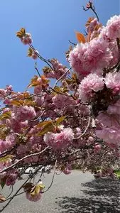 公渕森林公園