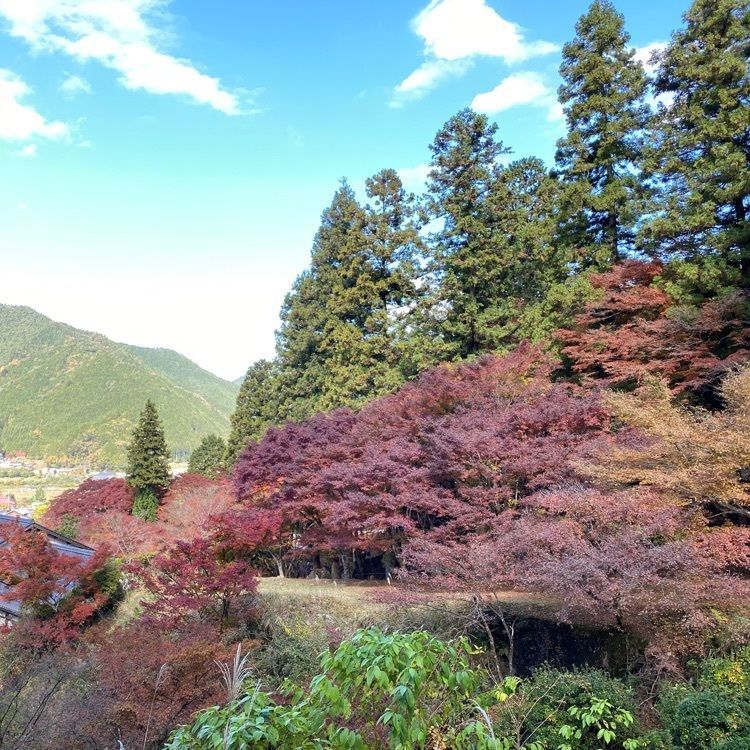 izmさんが投稿した高源寺に関する口コミの画像
