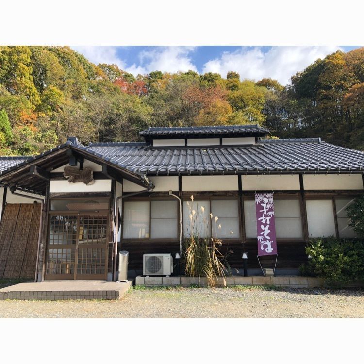 頼朝さんが投稿したくれ竹（くれたけ）に関する口コミの画像