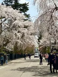 角館武家屋敷資料館