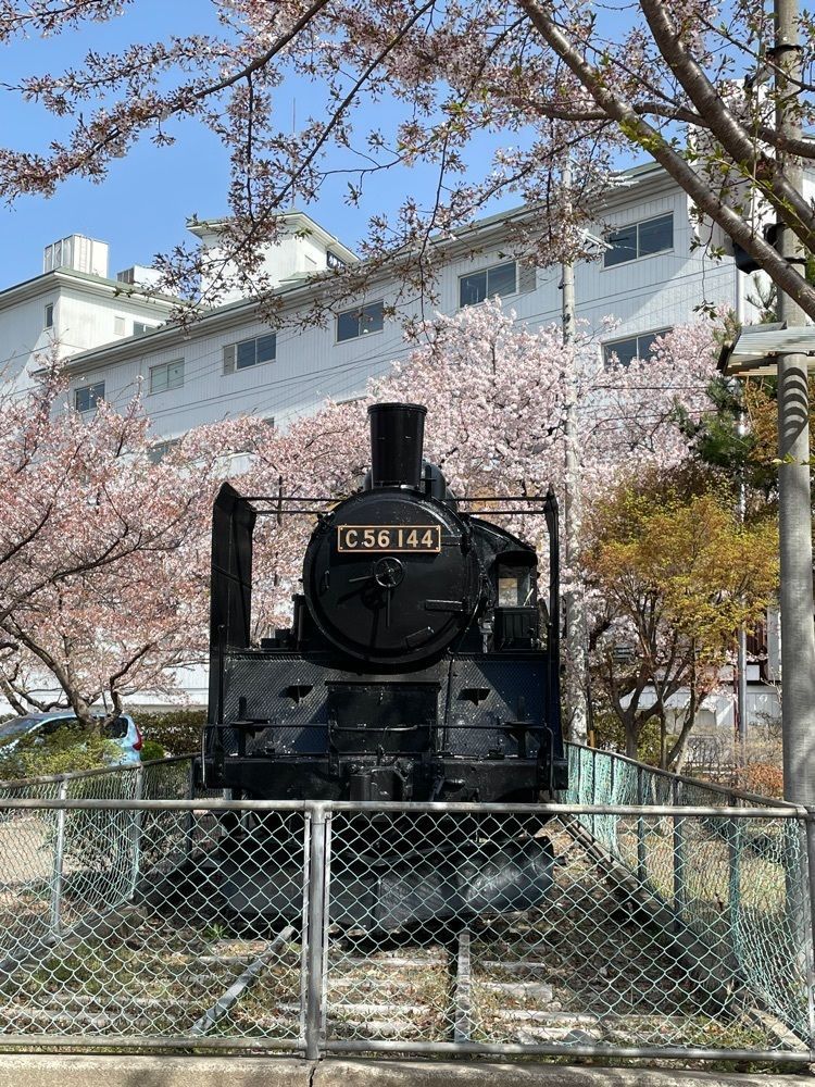 fnanaさんが投稿した小諸城址懐古園の桜に関する口コミの画像