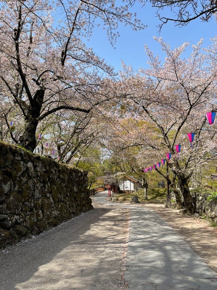 fnanaさんが投稿した小諸城址懐古園の桜に関する口コミの画像