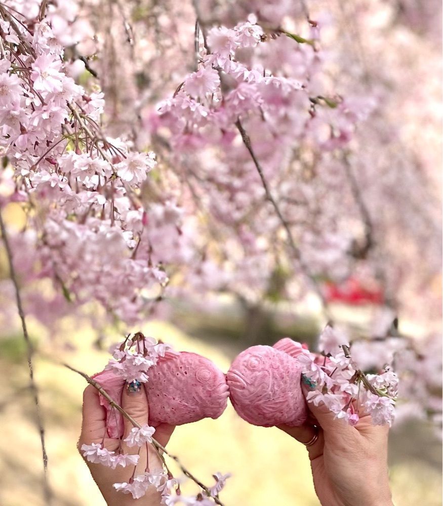 kei_koさんが投稿した高見の郷 天空茶屋に関する口コミの画像