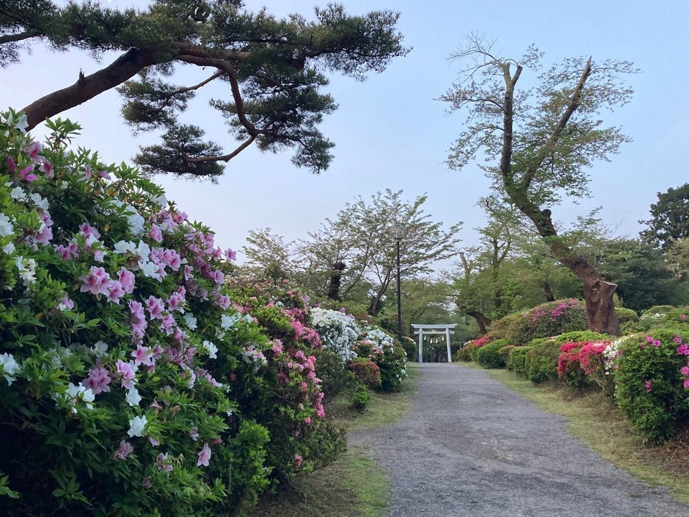 Howl Monさんが投稿したつつじ公園（静岡県磐田市）に関する口コミの画像