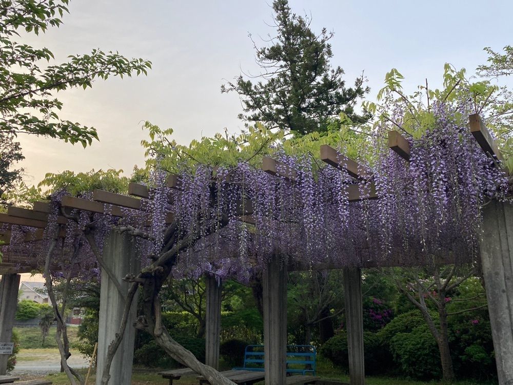 Howl Monさんが投稿したつつじ公園（静岡県磐田市）に関する口コミの画像