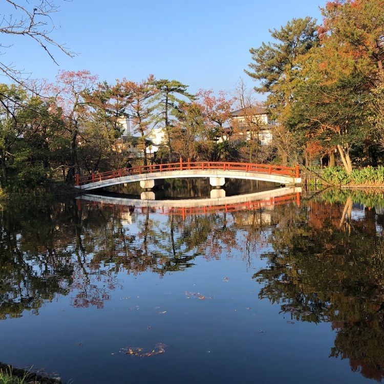famous_marketさんが投稿した神柱公園に関する口コミの画像