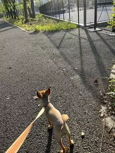 有明コロシアム