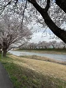 農家レストラン 元気な農家