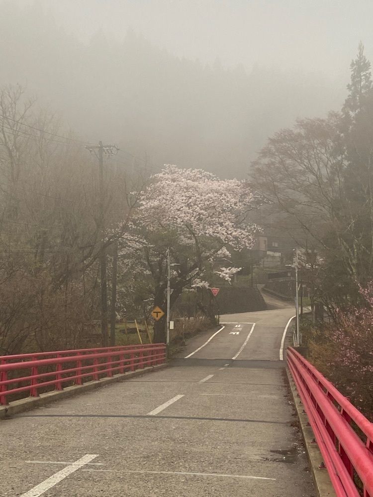 ポッキン　アンブレラさんが投稿した山田温泉に関する口コミの画像