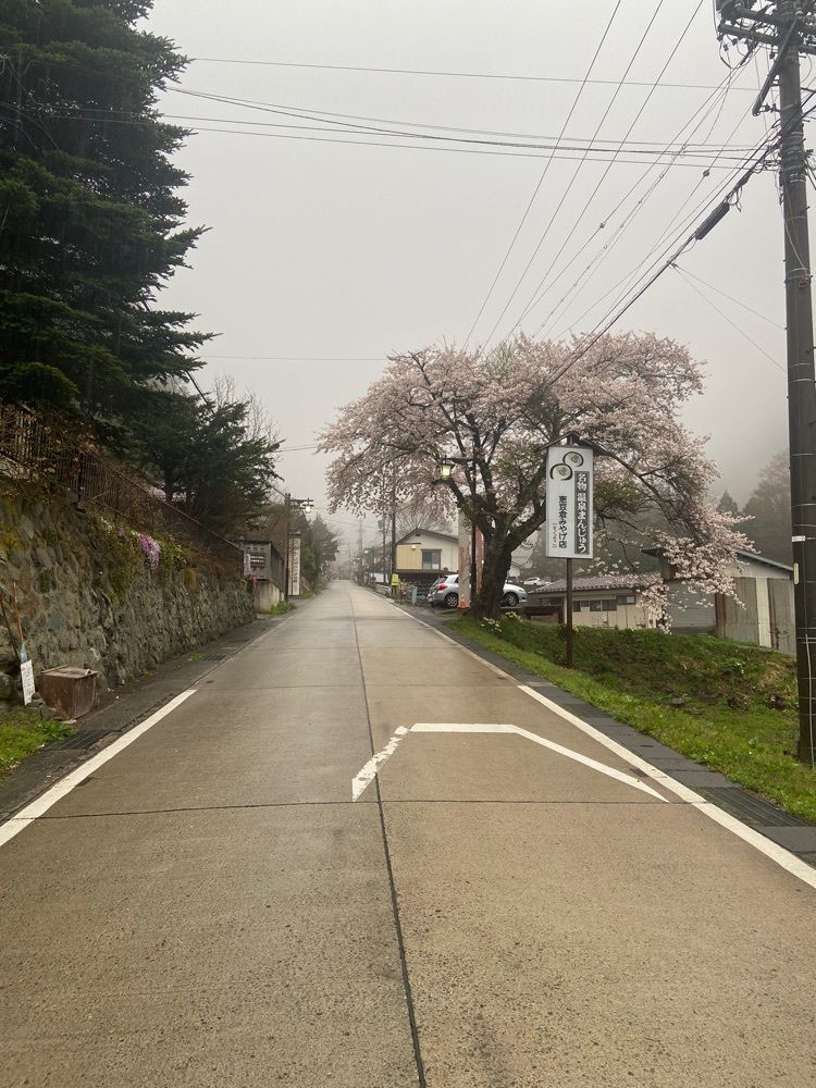 ポッキン　アンブレラさんが投稿した山田温泉に関する口コミの画像