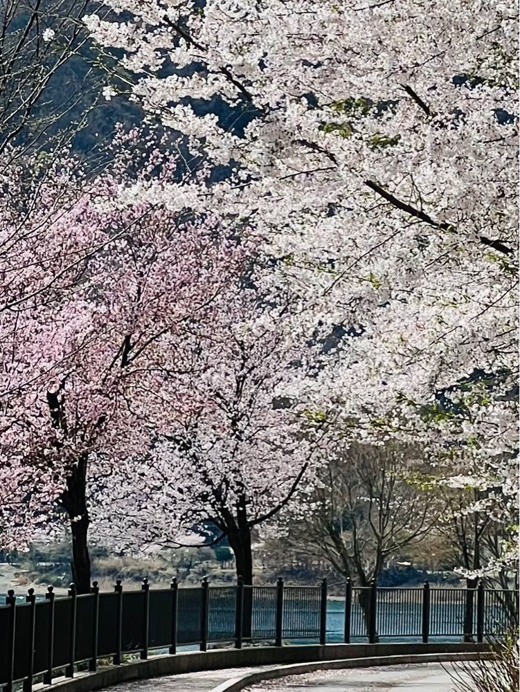 ビンカさんが投稿した足和田ホテルに関する口コミの画像