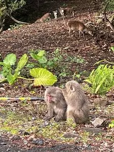 一湊珈琲焙煎所（イッソウコーヒーバイセンジョ）
