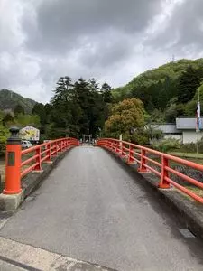 藤公園の藤