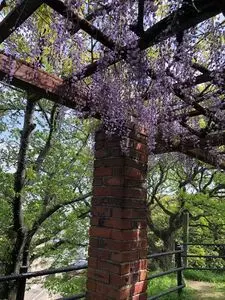 光雲神社