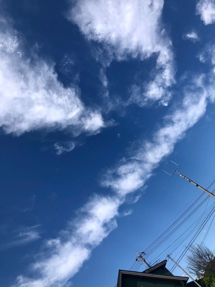 からっ風②さんが投稿したタカノに関する口コミの画像
