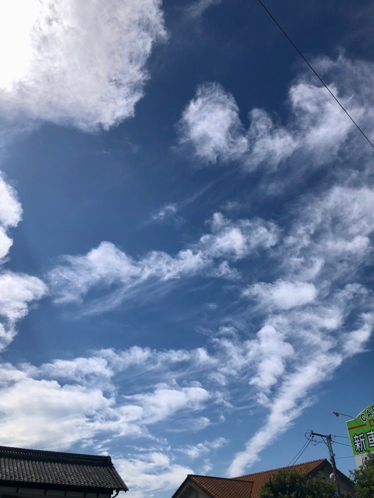 からっ風②さんが投稿したタカノに関する口コミの画像