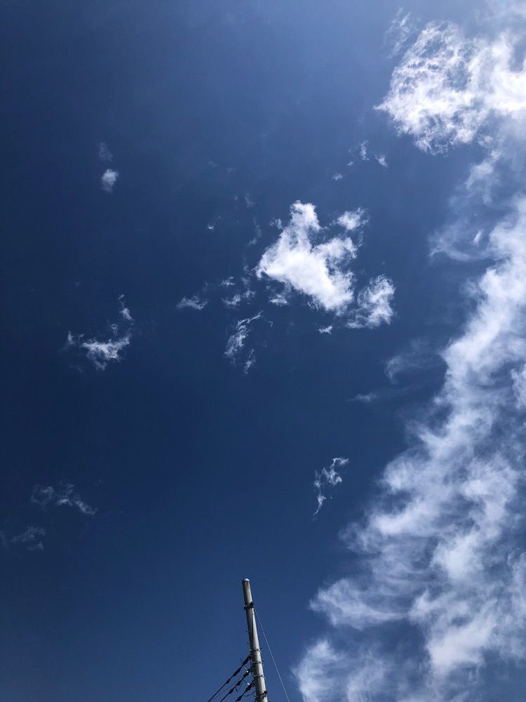 からっ風②さんが投稿したタカノに関する口コミの画像