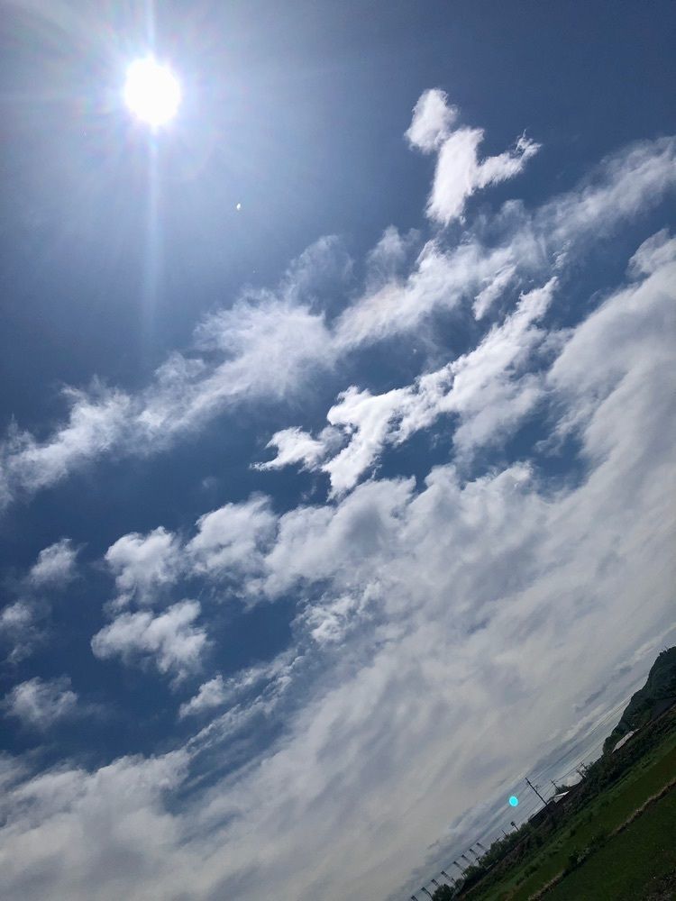 からっ風②さんが投稿したタカノに関する口コミの画像